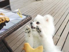 -太阳岛度假酒店