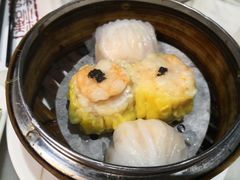 -糖朝(尖沙咀店)