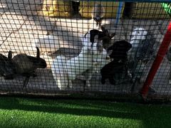 -南宫五洲植物乐园