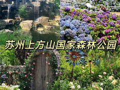 -苏州上方山国家森林公园
