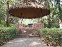 -广东茂名森林公园