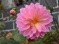 -丽江玉水寨