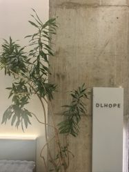 点击看大图 -DL HOPE造型