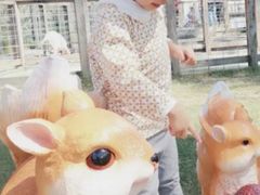 -前小桔亲子创意农场·草莓采摘·露营烧烤