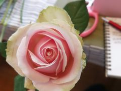 -森野花艺培训·企业团建活动沙龙