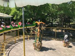 -大望京儿童游乐场