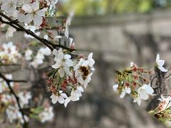 -杭州少年儿童公园