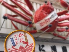 -蟹道乐(道顿堀本店)