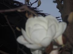 -宁波野生动物园