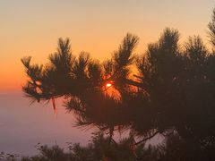 -泰山风景名胜区