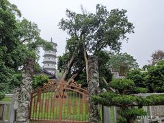 -国恩寺