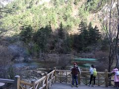 -九寨沟-树正沟