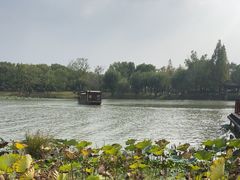 -湘湖大院(越王路店)