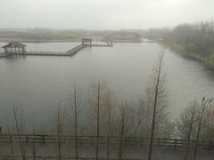 -溱湖国家湿地公园