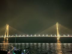 -招商蛇口邮轮母港(观光客运)