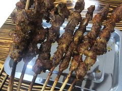 -民族烤羊·烤羊肉串·烤羊排(南城店)