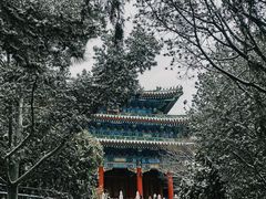 -故宫博物院(故宫)