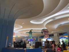 -帝企鹅自助餐厅•儿童岛•真企鹅(长隆企鹅酒店)