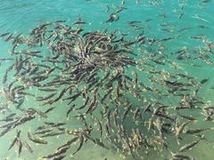 -青海湖二郎剑景区