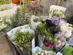 -溪岸路花鸟市场