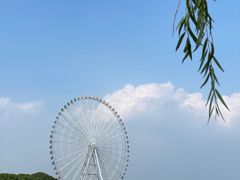 -无锡蠡湖国家湿地公园-蠡园