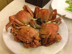 清蒸大闸蟹-金百万烤鸭店(马甸店)