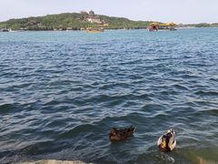 -颐和园