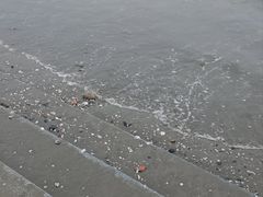 -大鹿岛