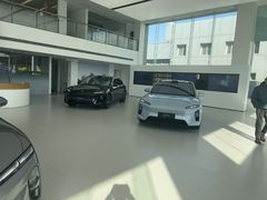 -蔚来体验中心(北京后沙峪店)