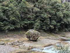 -光雾山旅游景区
