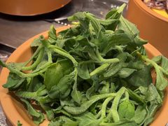 -龍歌自助小火锅(李沧丽达店)