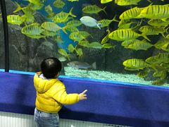 -福州罗源湾海洋世界旅游区