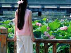 -成都南湖公园