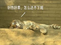 -杭州野生动物世界