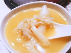 胶原花胶锅-豆捞坊(金桥店)