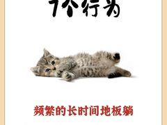 -博特宠物医院24h犬猫全科.骨科·异宠