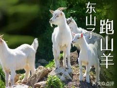 -唐河王记·南阳民间菜(国基路店)