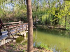 -溱湖国家湿地公园