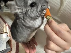 -龙猫仔乐园(惠福东路店)