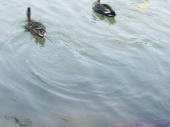 -泰安地下龙宫景区