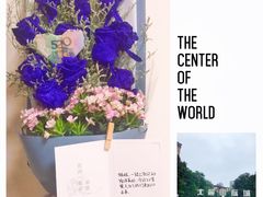 -花间阁鲜花气球连锁(两路口上清寺急市救中心店)