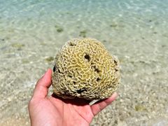 -三亚蜈支洲岛旅游区