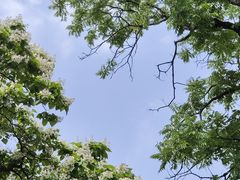 -梅兰芳纪念馆