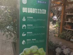 -山大王菌莊