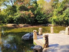 -新虹桥中心花园