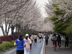 -龙湖杭州滨江天街