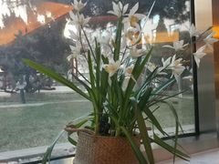 -亮马河饭店翠雅咖啡厅