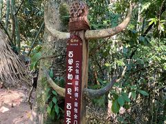 -西双版纳基诺山寨