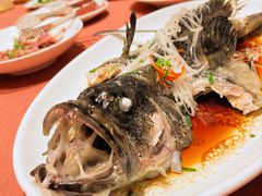 -船歌·鱼水饺青岛菜(闽江二路店)