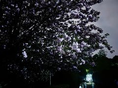 -四川大学(华西校区)